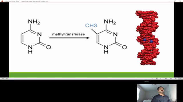 Could Subtle Methylation pattern Cause Genetic Diseases? – Screenshot 3