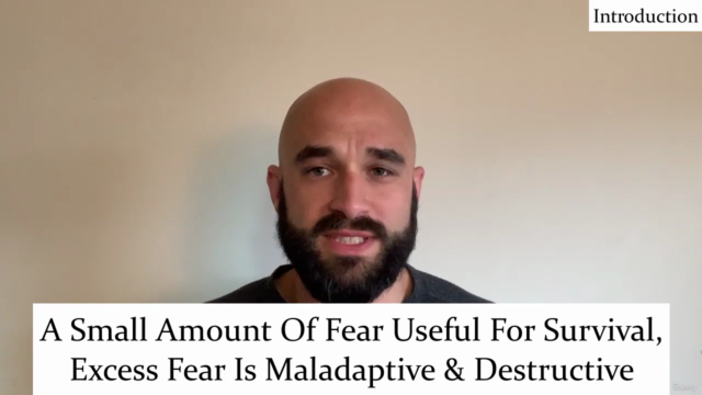 Meditation for Fear, Panic & Pandemic – Screenshot 3