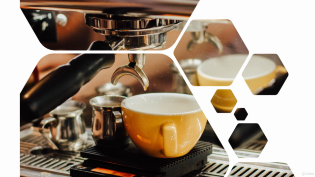 Barista Essentials: Hands-On Training From Bean to Cup – Screenshot 1
