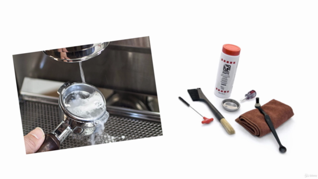 Barista Essentials: Hands-On Training From Bean to Cup – Screenshot 2