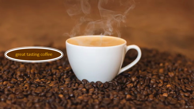 Barista Essentials: Hands-On Training From Bean to Cup – Screenshot 3