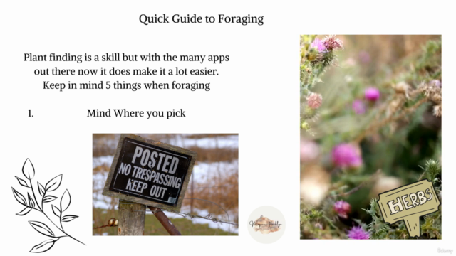 Making your own Wild Tea – Screenshot 1