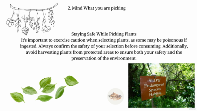 Making your own Wild Tea – Screenshot 2