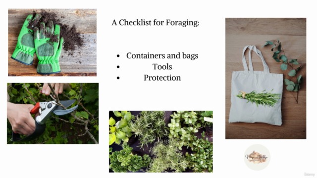 Making your own Wild Tea – Screenshot 4