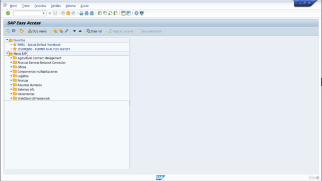 Curso (SAP) - Dashboard, Gráficos y Análisis de Datos. – Screenshot 1