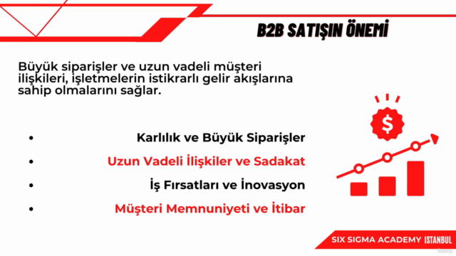 B2B Satış Eğitimi: Satış Stratejisi Geliştirme ve Yönetme – Screenshot 1