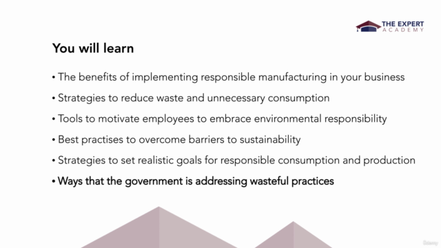 Implement Responsible Consumption And Production Initiatives – Screenshot 3