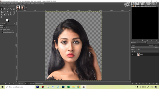 GIMP Photo Editing for Beginners - From Novice to Pro – Screenshot 1