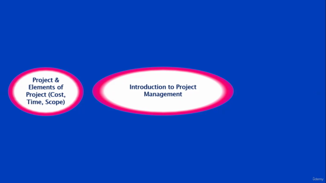 Technical Project Management for Generic Drug Development – Screenshot 1
