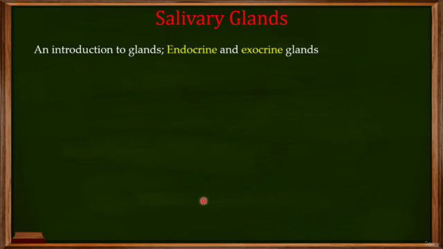 The Microbiology of Infectious Diseases – Screenshot 1