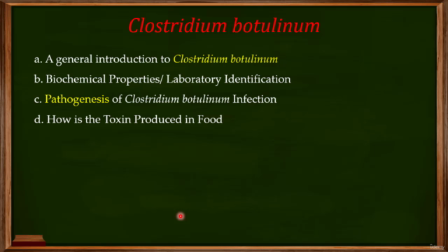 The Microbiology of Infectious Diseases – Screenshot 3