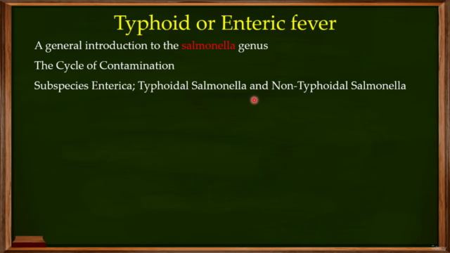 The Microbiology of Infectious Diseases – Screenshot 4