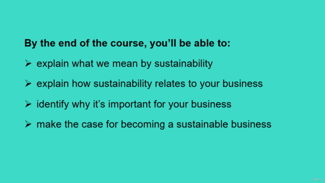 Making The Business Case For Sustainability – Screenshot 4