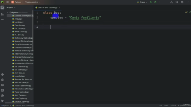 The Complete Python Bootcamp from Zero to Expert – Screenshot 2