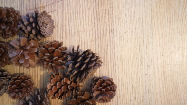 La Magie de Noël en Langue des Signes pour petits et grands. – Screenshot 1