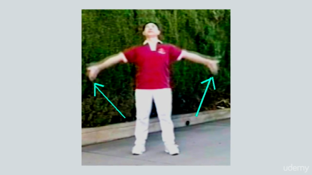Qigong Shibashi Set One – Screenshot 1