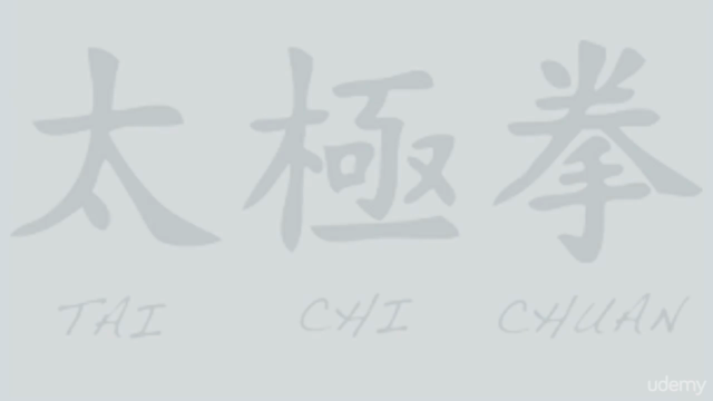 Qigong Shibashi Set One – Screenshot 2