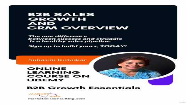 B2B Sales Growth and CRM Overview – Screenshot 2