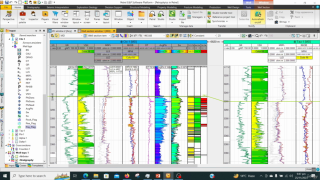 Petrel Well Log Analytics: Petrophysical Calculations Guide – Screenshot 2