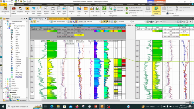 Petrel Well Log Analytics: Petrophysical Calculations Guide – Screenshot 3
