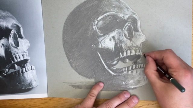Drawing the Human Skull – Screenshot 2