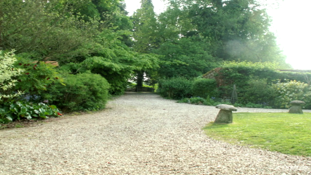 Fang Song Gong Qigong – Screenshot 3