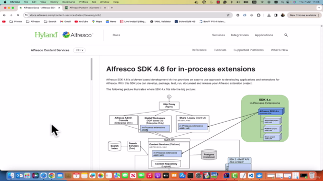 Hyland Alfresco Developer - Software Development Kits (SDKs) – Screenshot 2