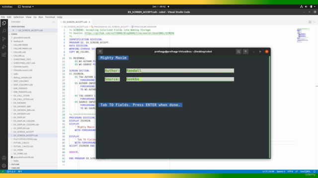 Modern COBOL: Professional Programmer's Fast-Track - Screenshot_04