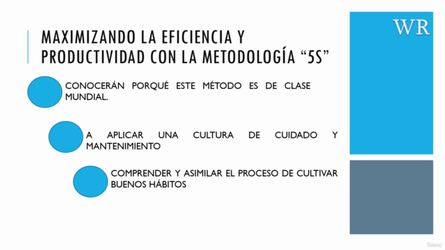 Maximizando la Eficiencia y Productividad con el Método "5S" – Screenshot 3