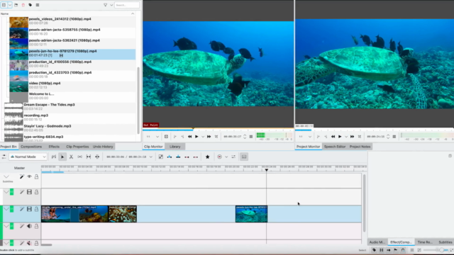 Kdenlive Video Editing Masterclass: Novice to Pro – Screenshot 3