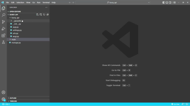 Kurs platforma elearningowa w Python i Django cz.1 – Screenshot 3