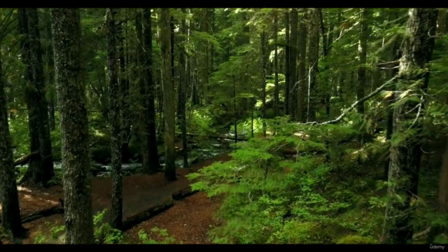 Master Course : Carbon Accounting for ESG Professionals 101 – Screenshot 1
