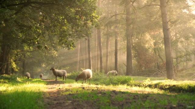 Master Course : Carbon Accounting for ESG Professionals 101 – Screenshot 2