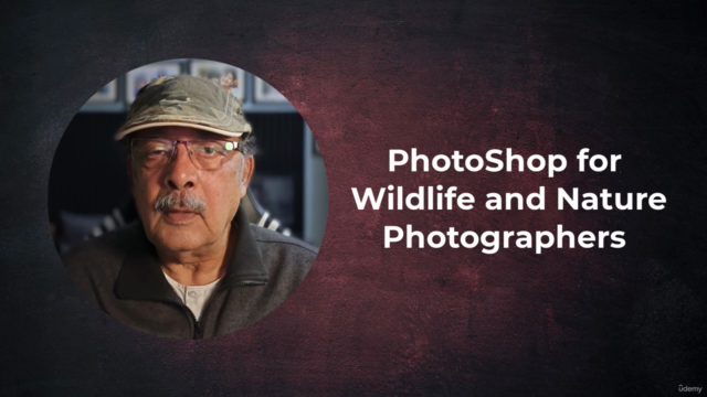 Photoshop for wildlife and nature photographers – Screenshot 2