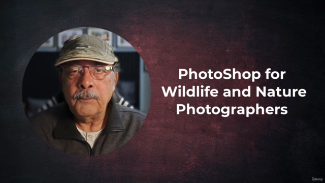 Photoshop for wildlife and nature photographers – Screenshot 4