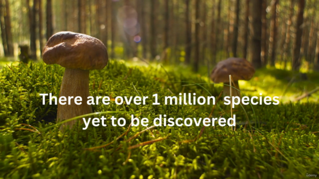 Herbalism Mushroom Certificate-The Healing Power of Fungi – Screenshot 1