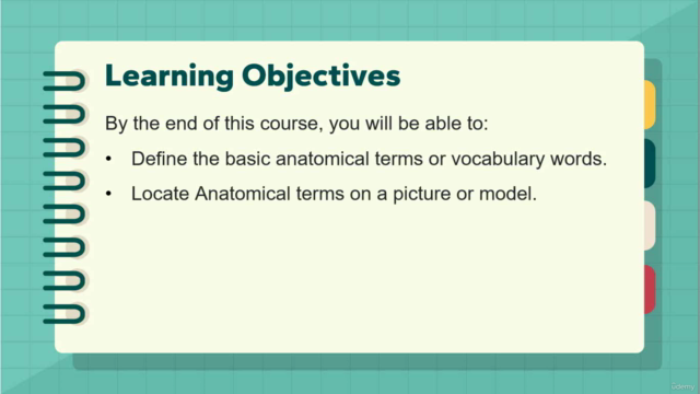 Medical Terminology: Learn Anatomical Terminology – Screenshot 2