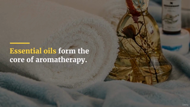 The Complete Guide to Aromatherapy - Screenshot_02