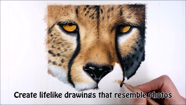 Colored Pencil Course – Screenshot 1