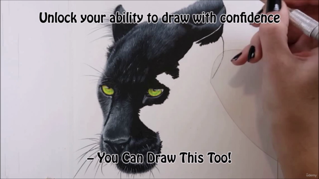 Colored Pencil Course – Screenshot 4