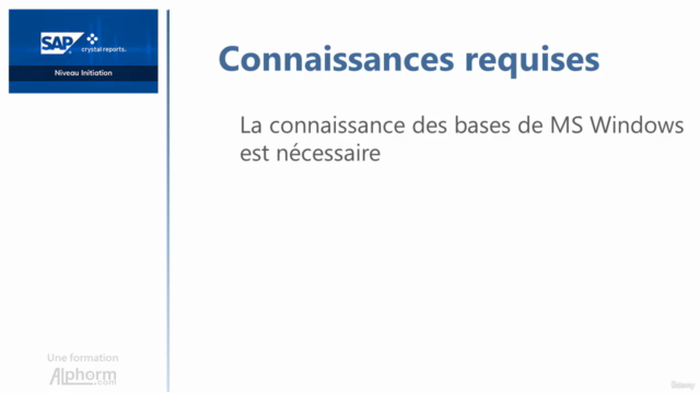 SAP Crystal Reports : Niveau Initiation – Screenshot 4