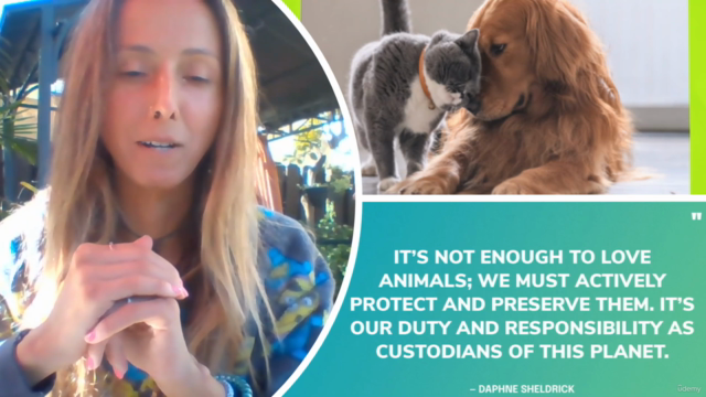 Become An Amazing Pawrent (Caring for Cats & Dogs) – Screenshot 1