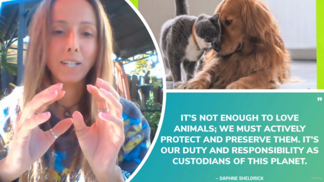 Become An Amazing Pawrent (Caring for Cats & Dogs) – Screenshot 2