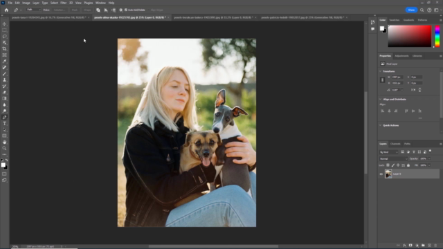 Mastering AI in Photoshop : Creative Visualization Course – Screenshot 2