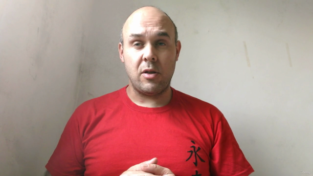 Ip Man Wing Chun - Muñeco de madera de 116 movimientos – Screenshot 1