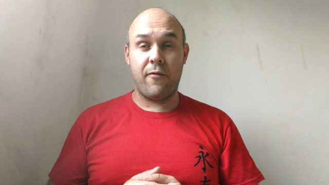 Ip Man Wing Chun - Muñeco de madera de 116 movimientos – Screenshot 2