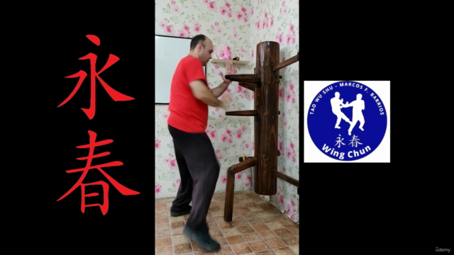 Ip Man Wing Chun - Muñeco de madera de 116 movimientos – Screenshot 4