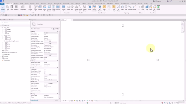 Revit Template Masterclass- For Revit Users and BIM Modelers – Screenshot 2
