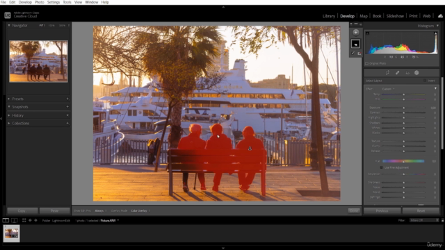 Lightroom Mastery: A Masterclass in Photo Elevation – Screenshot 4