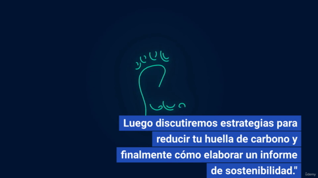 Contabilidad de Carbono e Informes de Sostenibilidad – Screenshot 4